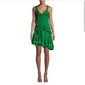 Lakshmi Ruffle Lace Mini Dress